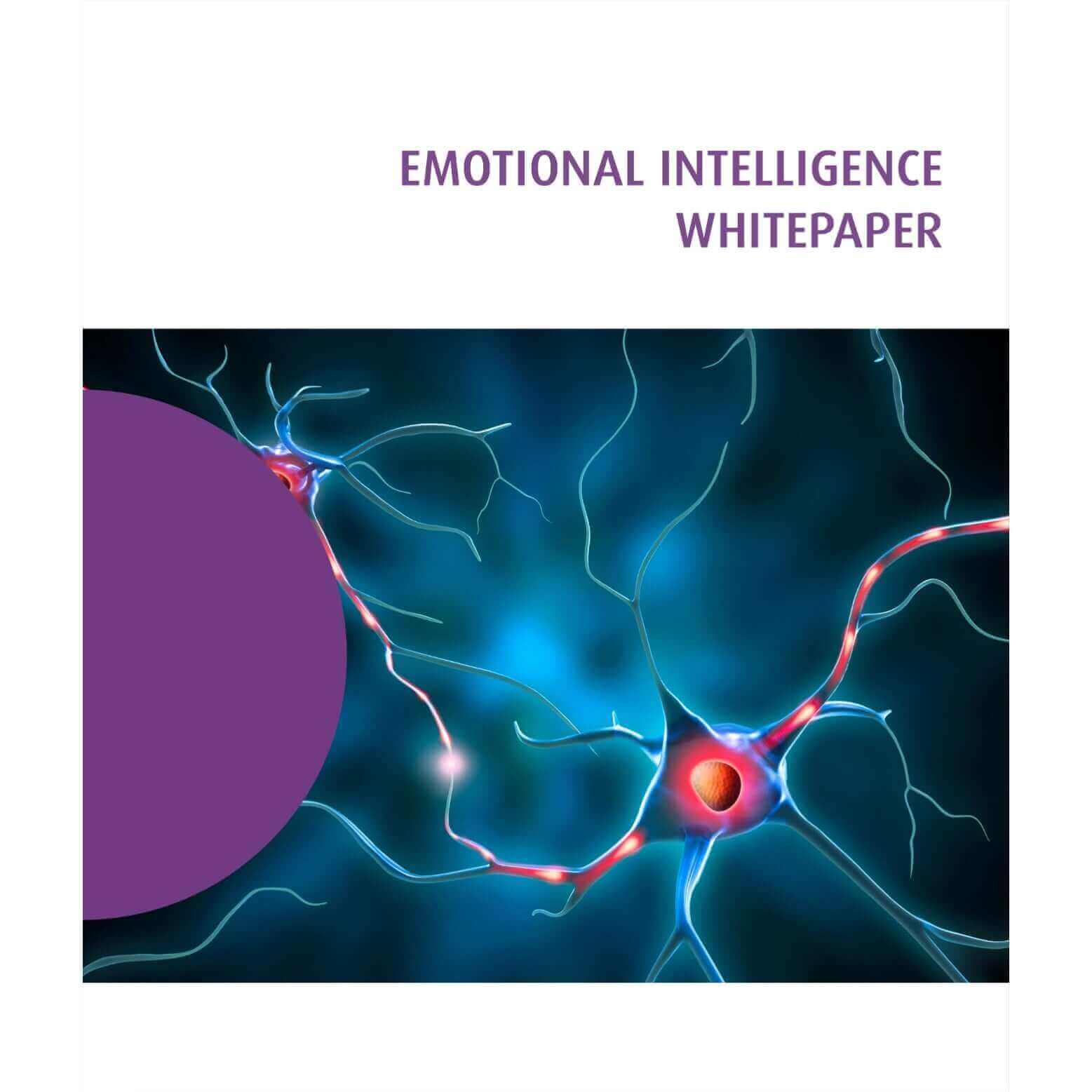 Emotional Intelligence At Work available as download from The Positive Psychology Shop