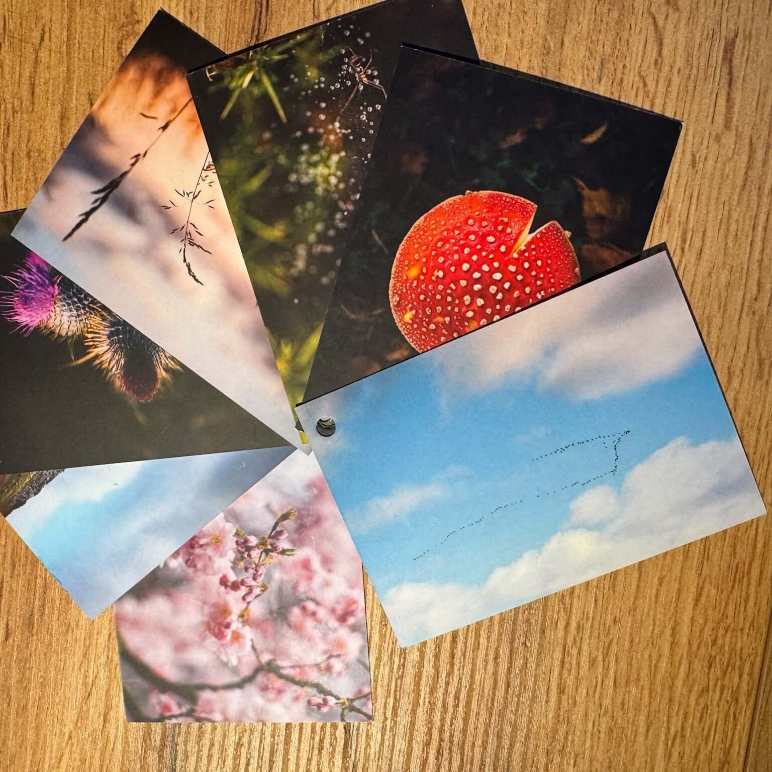 Outdoor Coaching Cards sold on The Positive Psychology Shop