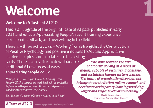 A Taste Of Appreciative Inquiry, sold on the Positive Psychology Shop