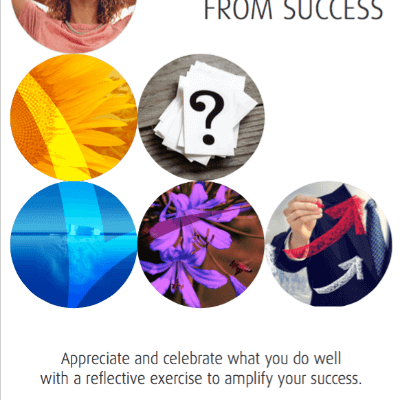 Learning From Success An Appreciative Inquiry Reflection Exercise available as download from The Positive Psychology Shop