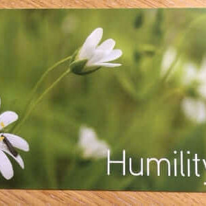 Strengths cards by Positran, sold on the Positive Psychology Shop