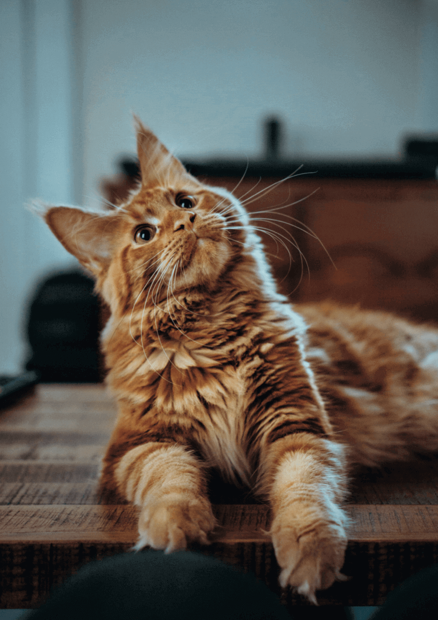 Tell Your Story cards by Appreciating Change, sold on the Positive Psychology Shop