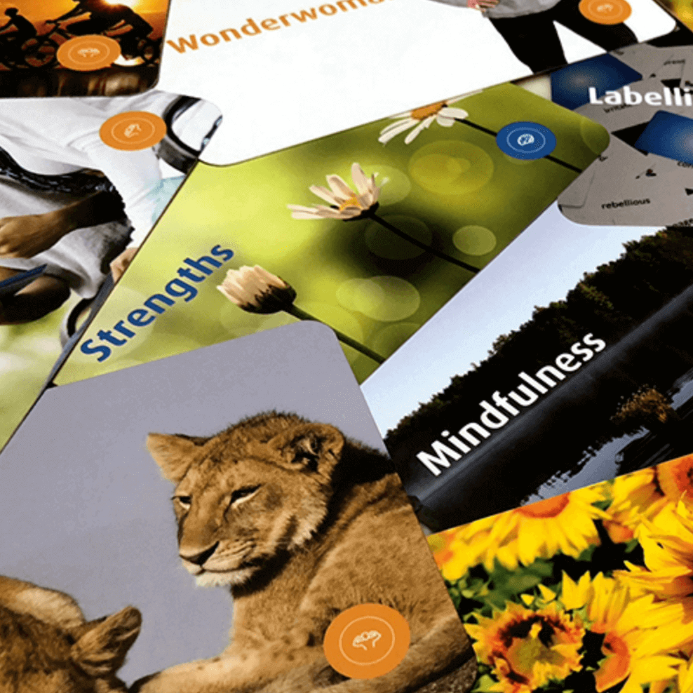 Resilience Cards by Langley Group, sold on the Positive Psychology Shop