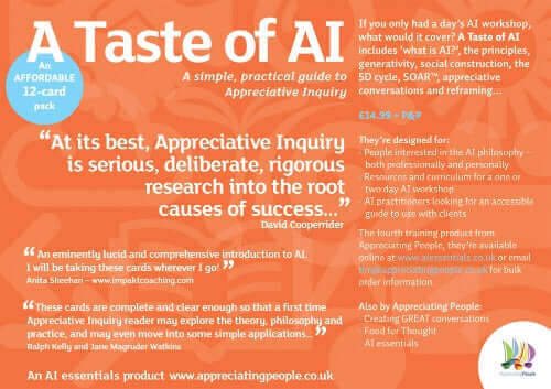 A Taste Of Appreciative Inquiry, sold on the Positive Psychology Shop