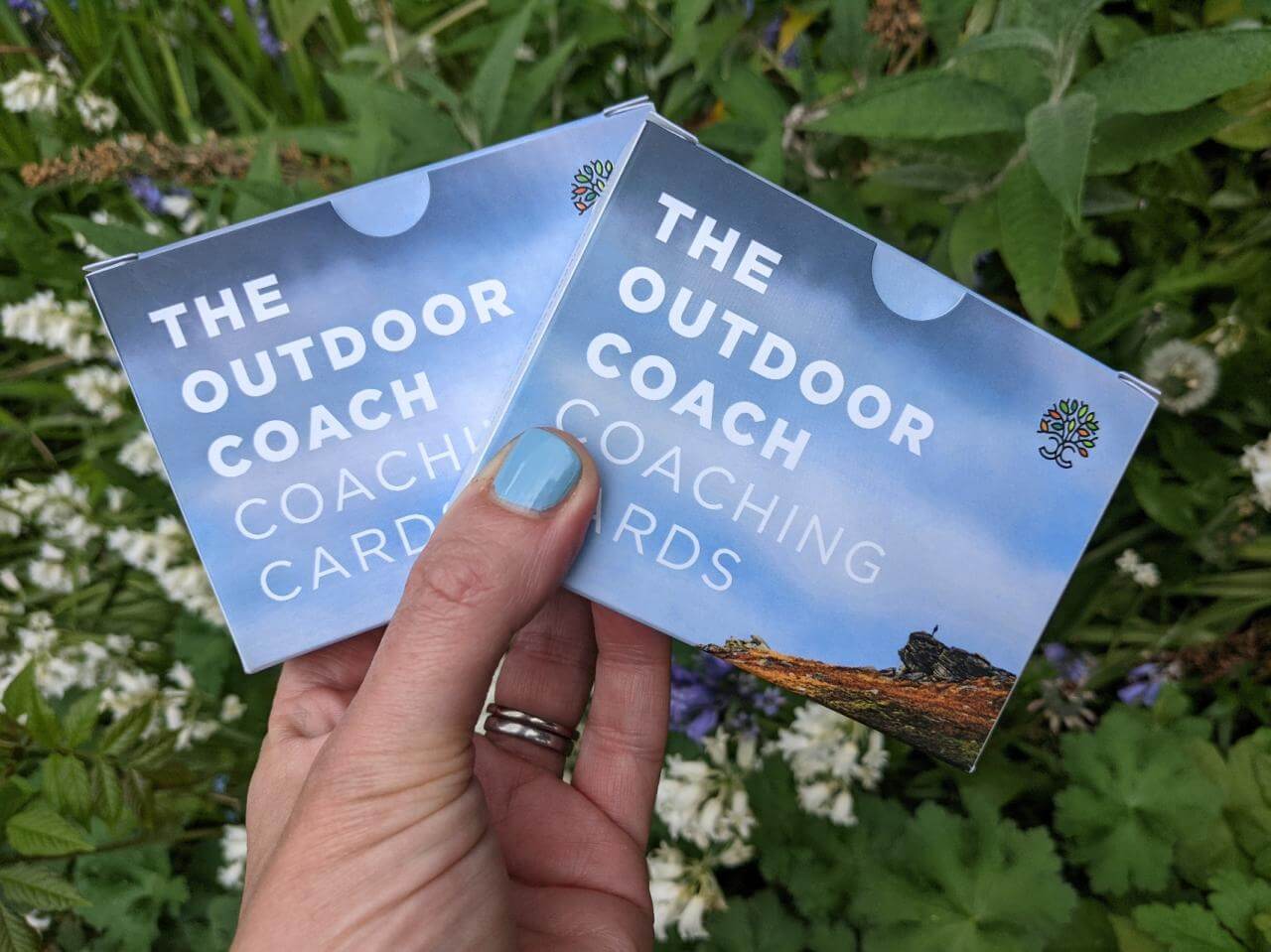 Outdoor Team Coaching for Team Development