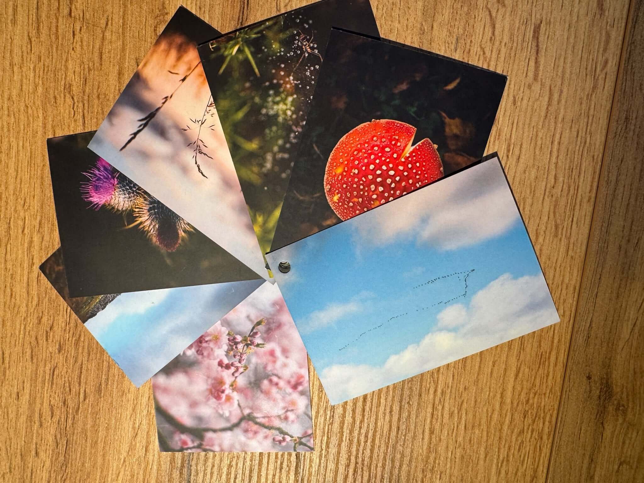 Outdoor Coaching Cards  sold on The Positive Psychology Shop