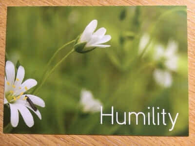 Strengths cards by Positran, sold on the Positive Psychology Shop